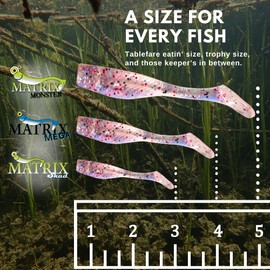 Matrix Shad Original 3 Inch Fishing Lure for Speckled Trout, Redfish, Bass - Paddle Tail Swimbaits for Freshwater and Saltwater - Pink Champagne - 8 Count Bag (Pack of 1)