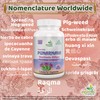 Ayushya Punarnava Capsule (Boerhavia Diffusa), 60 Capsules, Natural