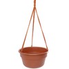 Bloem Dura Cotta Self Watering Hanging Basket Planter 12" Terra