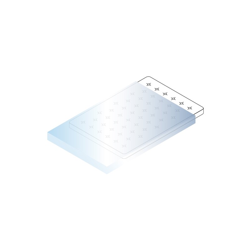 haggiy Mattress Cover - Mattress Protector