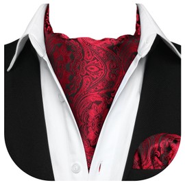 HISDERN Ascot Ties for Men Paisley Floral Ascot and Pocket Square Set Classic Self Tie Mens Cravat Handkerchief for Wedding, D-red 3, One Size