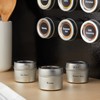 Talented Kitchen Silver Magnetic Spice Jars for Refrigerator (3 oz)