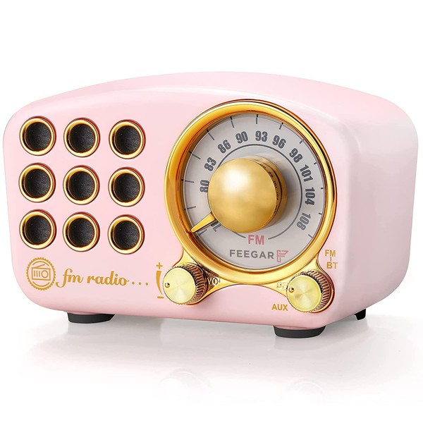 Radio Feegar Retro Bluetooth Speaker, Vintage FM Radio with Old-Fashioned