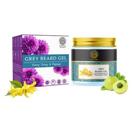 Buddha Natural Anti Grey Beard Gel - 100 Gms - Ayush Certified - Gel Protection For Early Greys (100.00 G (Pack Of 1))