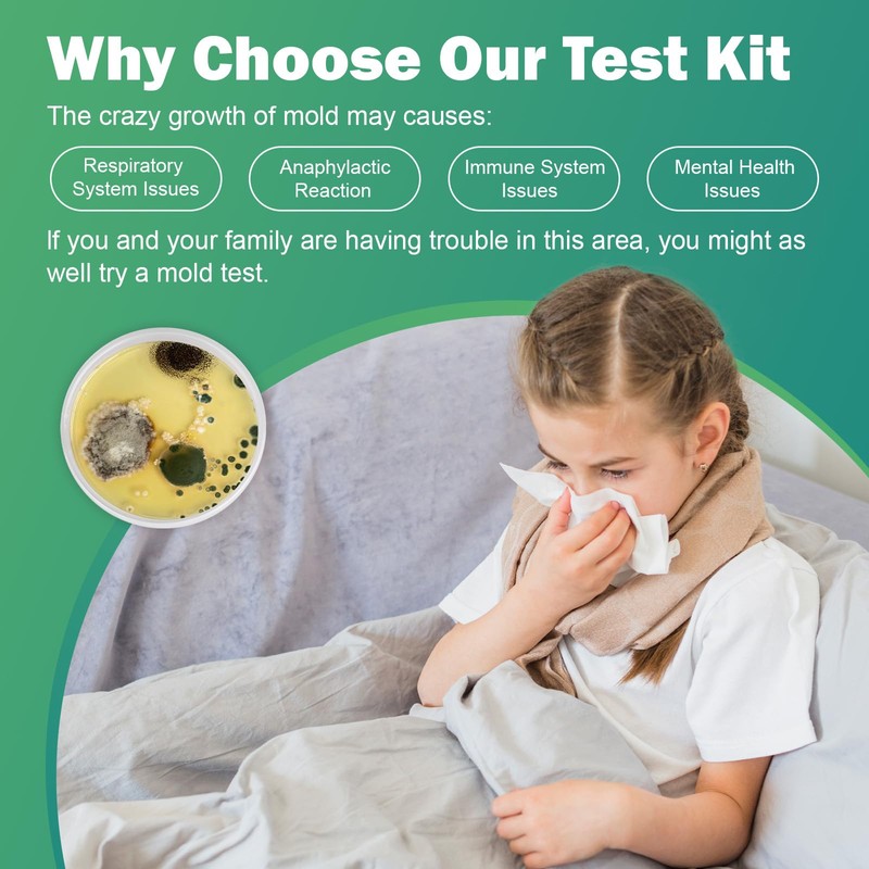 Carethetic Mold Test Kit for Home – 6 DIY Air,