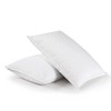 puredown Quilted Goose Feather, Set of 2 White, Standard Queen