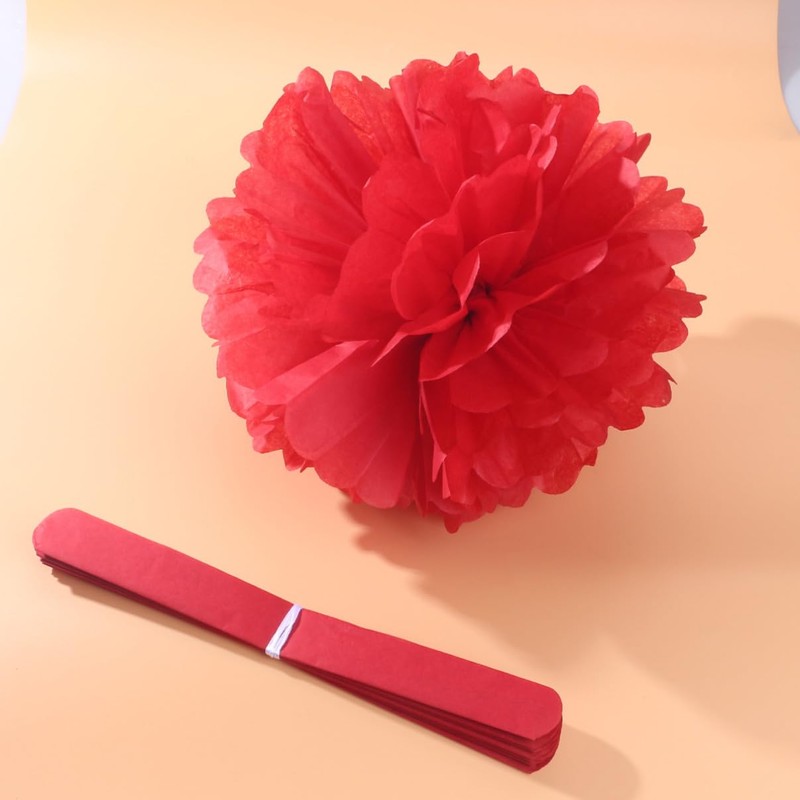 EXCEART 12pcs Tissue Paper Flower Pom Pom Hanging Decorative Honeycomb