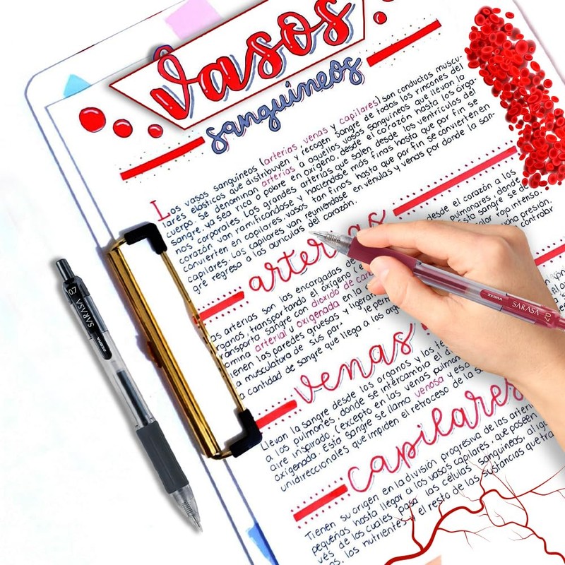 Rollerball Retráctil Sarasa 24 Piezas Multicolor Zebra Mexico