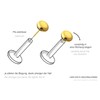 PIERCINGLINE Titanium Attachment with Push Pin Disc without Labret Stud