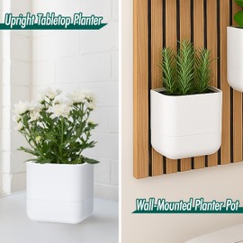Phoenix Vine 6.5-Inch Wall Mounted Self-Watering Planter Pot for Indoor Houseplants and Herbs | Modern Hanging Planter for Window Sills, Bathroom Walls, Home & Office Décor, White, Set of 1, 01-WP-W-1