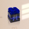 UFOREVER ROSES 4-Piece Preserved Roses in a Box, Preserved Flowers,