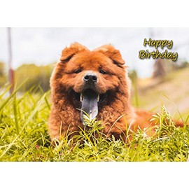 Chow Chow Dog Birthday Card