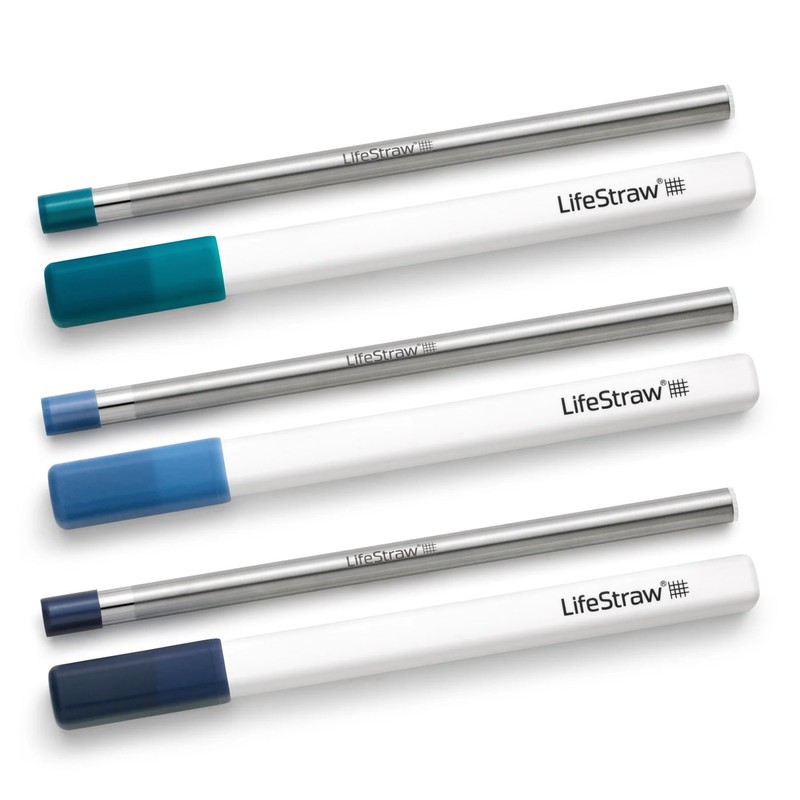 LifeStraw SIP Stainless Steel Water Filter Straw with Carry Case