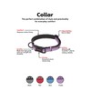 The Company of Animals - Halti Collar