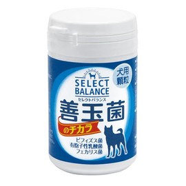 Betts Choice Japan Select Balance Power of Good Bacteria, Granules for Dogs, 1.6 oz (45 g), Pet Supplement