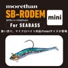 Daiwa Morethan Sea Bass Rodem Mini, 0.4 oz (10 g)