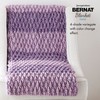 Bernat Blanket Twist Lilac Grove Yarn - 2 Pack of