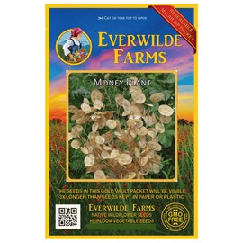 Everwilde Farms - 1 Oz Money Plant Wildflower Seeds - Gold Vault
