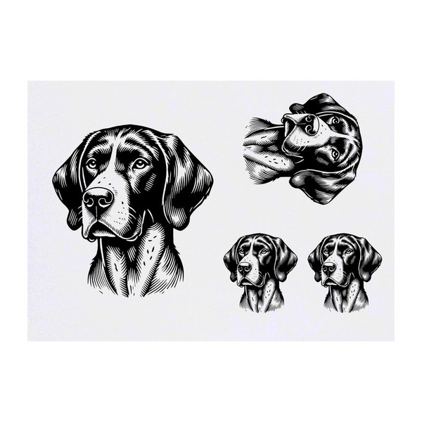 4 x 'German Shorthaired Pointer' Temporary Tattoos - Water Resistant,