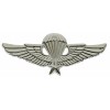 Army Parachute Jump Vietnam Wings 2 3/8 inch Pin H16043s