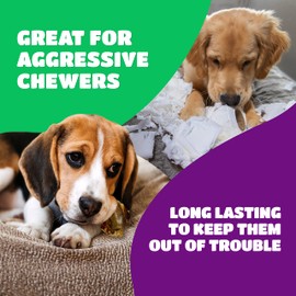 Lively Tails Dog Bones for Aggressive Chewers, Knee Caps for Dogs, Beef Bones for Large Dogs, Medium, and Small, Long Lasting Knee Bone for Dog, 10 Count