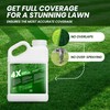 1 Gallon 4X Green Spray Dye - Makes 512 Gallons