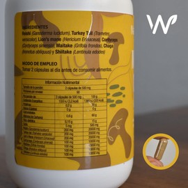 Mushroom Complex Nootropico 7 Hongos | Energia Memoria Concentración Agilidad Mental | 180 Capsulas | Hongo Melena de Leon (lions mane) Reishi Cordyceps Chaga Maitake Shiitake Cola de Pavo