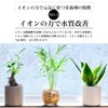 Tokyo Juen Nutritional Agent Growing Energized by Ion Power, Ion