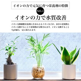 Tokyo Juen Nutritional Agent Growing Energized by Ion Power, Ion Exchange Resin Nutrition Agent for Home Plants, Hydroculture, Root Rot Rot Inhibitor, Granules (1 Nutritional Agent (3 Bags)