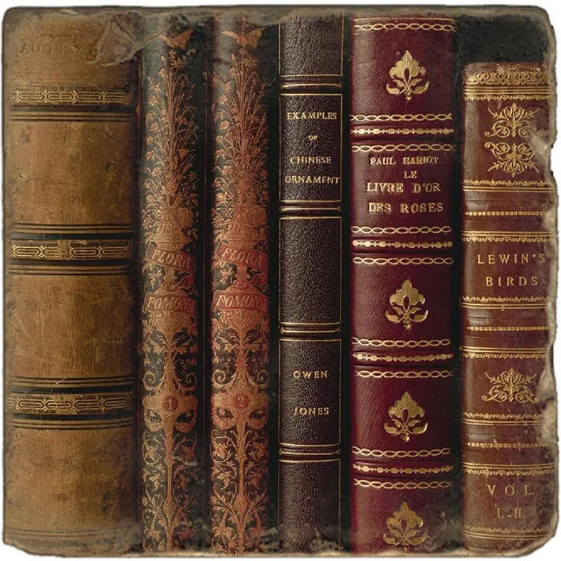 Studio Vertu, Set of 4, Leather Books Tumbled Botticino Marble