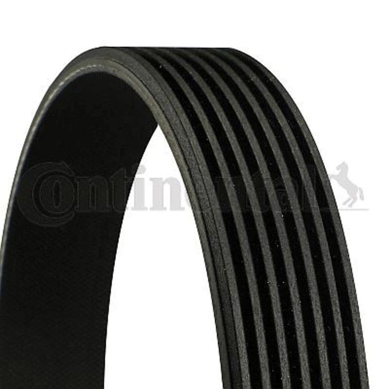 CONTITECH 7PK2710 V-Ribbed Belt