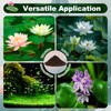 Aquatic Plant Soil for Water Lily & Lotus – Clay-Based,