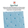 CANADIAN SPA Company Pool and Spa Ball (10003)