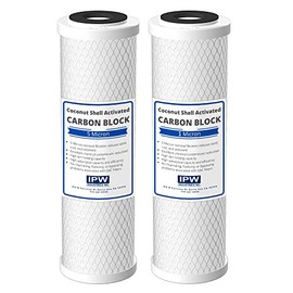 IPW Industries Inc. | 2-Pack Kenmore 42-34377 & 42-34370 Activated Carbon Block Filter for Reverse Osmosis Water Filter Replacement & Water Purifier