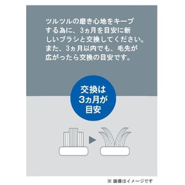 パナソニック 替えブラシ ドルツ EW-DM51用 スリムネックブラシ 2本組(6か月分) ホワイト EW0970-W