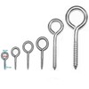 Stainless Steel Screw Eyes, Robust Galvanised Screw Hooks in 6