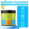 Electro-Hi Electrolyte Powders - Blueberry Flavour Ultimate Hydration with Keto-Friendly,