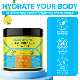 Electro-Hi Electrolyte Powders - Blueberry Flavour Ultimate Hydration with Keto-Friendly, Sugar-Free Formula - Bulk Electrolyte Powder for Optimal Rehydration - 90 Servings