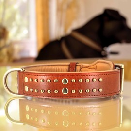 Monkimau Leather Dog Collar with Rivets Padded Adjustable (M: 35 mm x 55 cm)