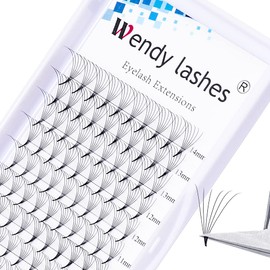 Volume Eyelash Extensions, 6D Ready-to-Use Fan Eyelashes, Premade Fan Eyelash Extensions, 0.07 Mix 8-14 mm, D Curl, Eyelash Fans, Ready-to-Use Fan Volume Ready Fan Eyelash Extension (6D-0.07-D-8-14)