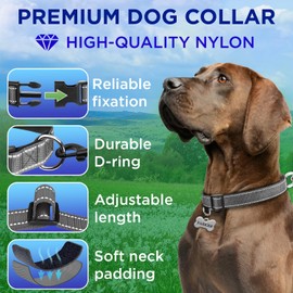 TECEUM - Collar para perro con acolchado - Gris - Collar para todas las razas y tamaños de gatos y perros - M