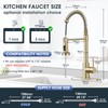 SOEBIZ Kitchen Faucet with Soap Dispenser, 2-Mode Sprayer