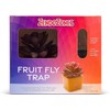 ZendoZones Succulent Fruit Fly Trap – Mellow Molly Design with