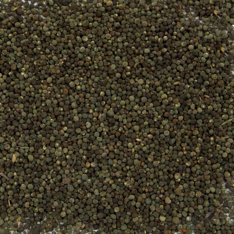 Cleavers Seeds (Galium aparine) Packet of 20