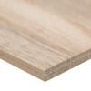 MSI Aspenwood Amer Matte Porcelain Floor Tile and Wall Tile