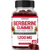 Berberine Gummies with Ceylon Cinnamon (1,200mg) 60 gummies - Healthcare