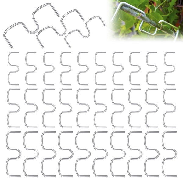 Pack of 30 Branch Supports for Fruit Trees, 13.10.8 cm,