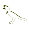 Mint Tyrannosaurus Dinosaur Cutter