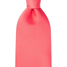 KissTies Boys Tie Coral Reef Satin Solid Necktie For Kids Ties + Gift Box