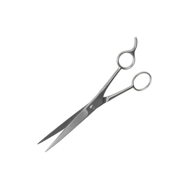 Professional Hairdressing Barber Scissors, Stainless Steel, 6.5 Inch, Hair Cutting